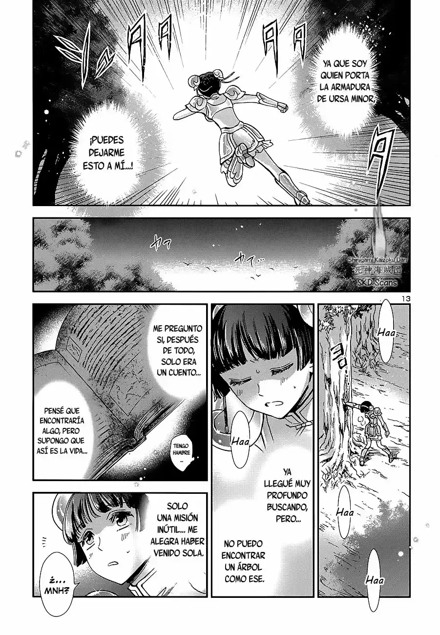 Saint Seiya Saintia Sho (2013) - Capítulo 39 - Página 14 - LectorTMOo
