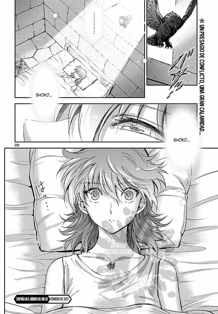 Saint Seiya Saintia Sho (2013) - Capítulo 40 - Página 29 - LectorTMOo