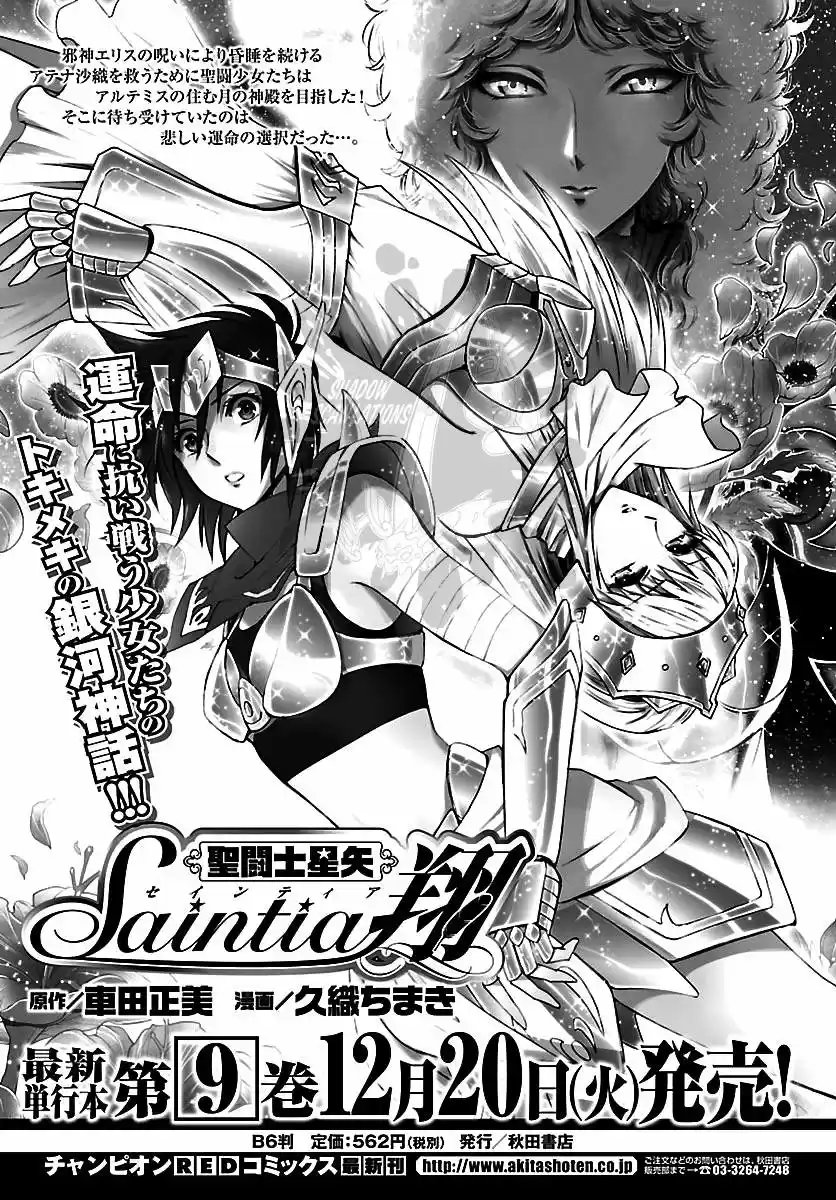 Saint Seiya Saintia Sho (2013) - Capítulo 40 - Página 30 - LectorTMOo