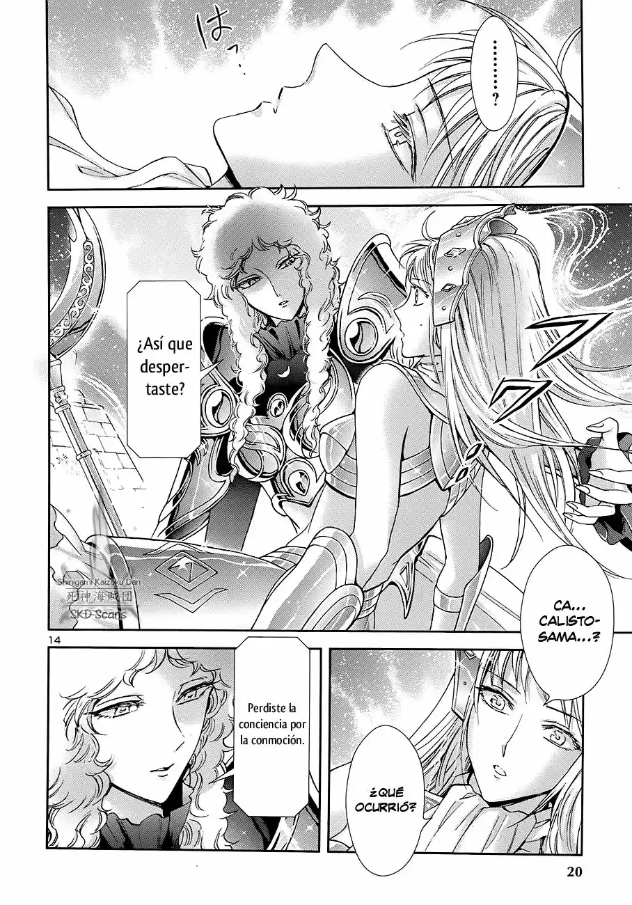 Saint Seiya Saintia Sho (2013) - Capítulo 41 - Página 15 - LectorTMOo
