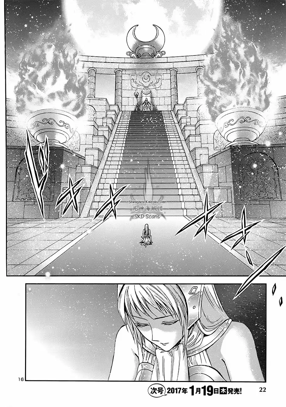 Saint Seiya Saintia Sho (2013) - Capítulo 41 - Página 17 - LectorTMOo