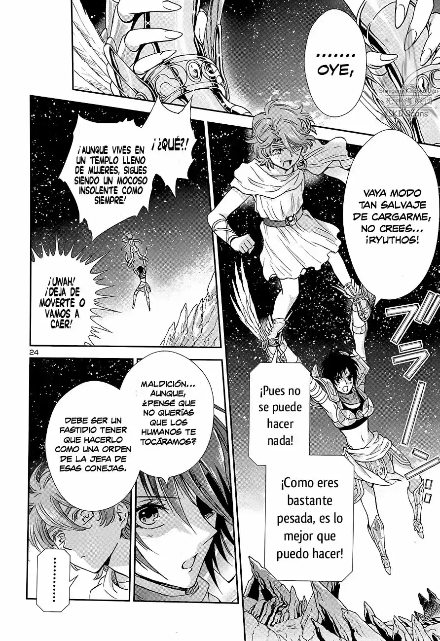 Saint Seiya Saintia Sho (2013) - Capítulo 41 - Página 25 - LectorTMOo