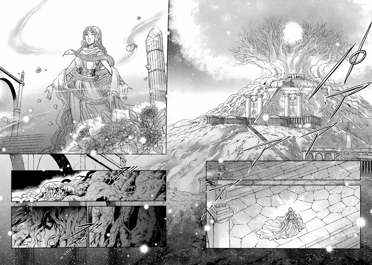 Saint Seiya Saintia Sho (2013) - Capítulo 43 - Página 20 - LectorTMOo