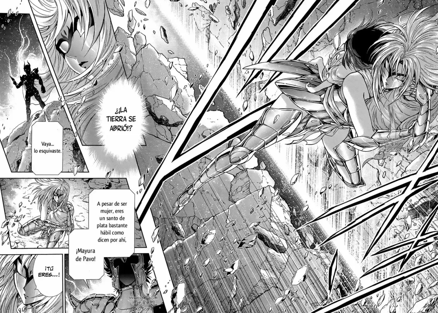 Saint Seiya Saintia Sho (2013) - Capítulo 45 - Página 10 - LectorTMOo