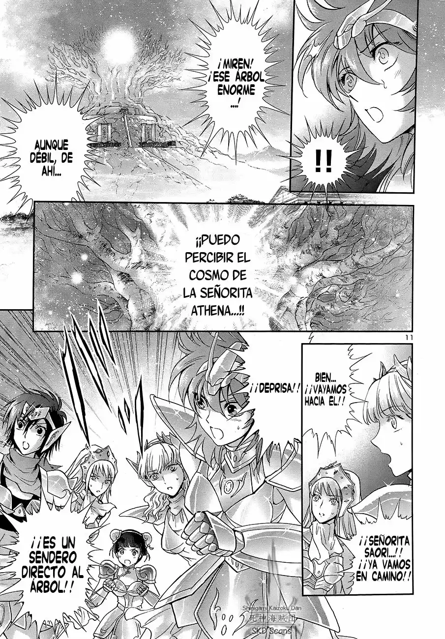 Saint Seiya Saintia Sho (2013) - Capítulo 46 - Página 11 - LectorTMOo