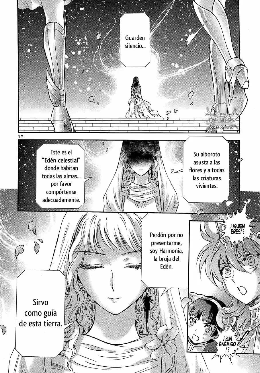Saint Seiya Saintia Sho (2013) - Capítulo 46 - Página 12 - LectorTMOo
