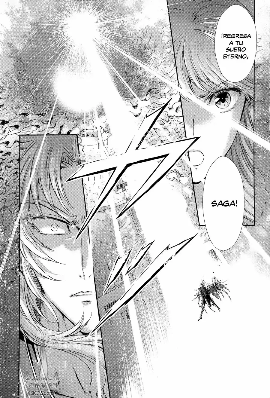 Saint Seiya Saintia Sho (2013) - Capítulo 47 - Página 5 - LectorTMOo