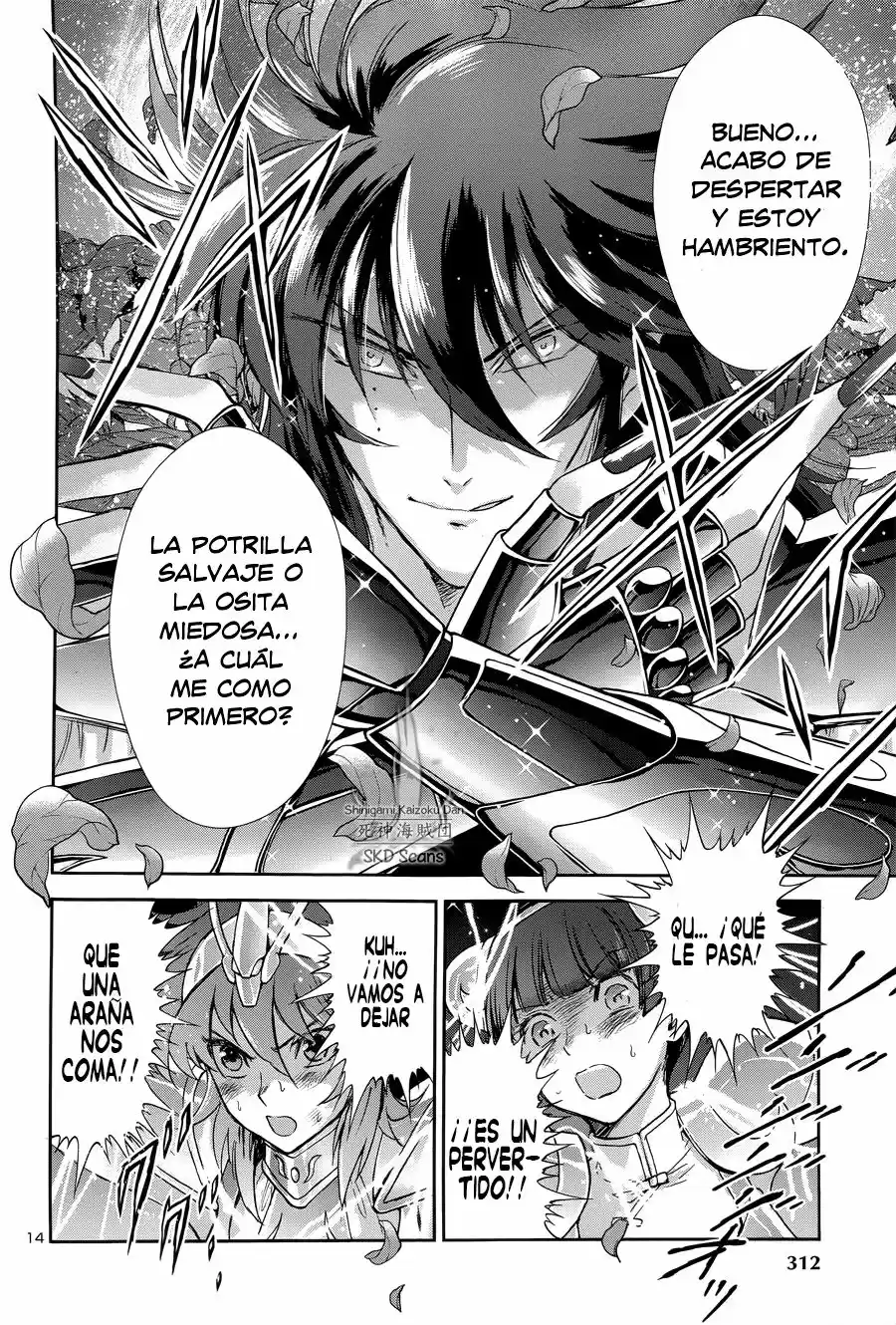 Saint Seiya Saintia Sho (2013) - Capítulo 47 - Página 13 - LectorTMOo