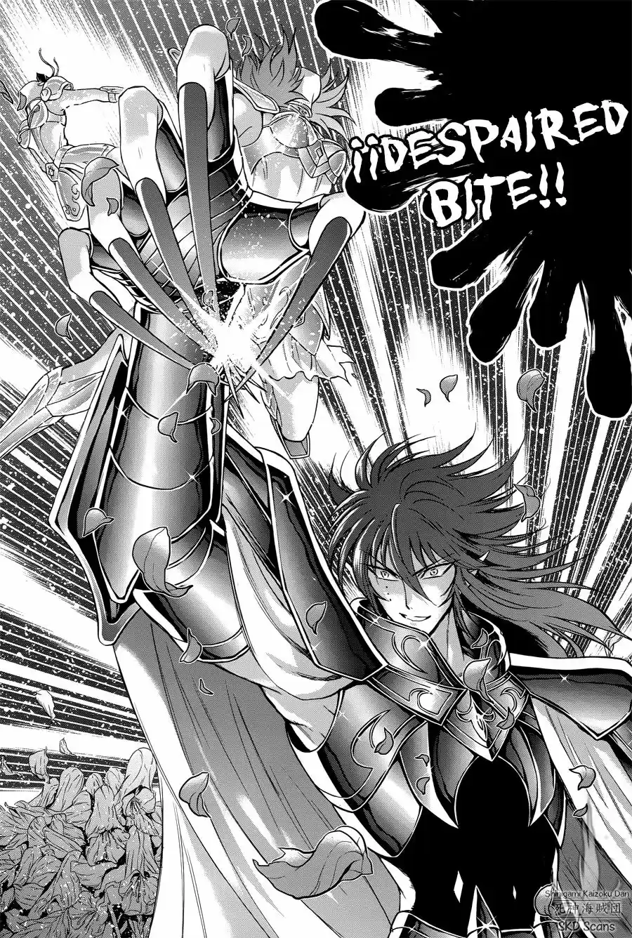 Saint Seiya Saintia Sho (2013) - Capítulo 47 - Página 17 - LectorTMOo