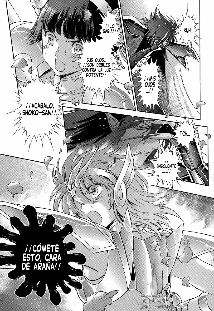 Saint Seiya Saintia Sho (2013) - Capítulo 47 - Página 22 - LectorTMOo