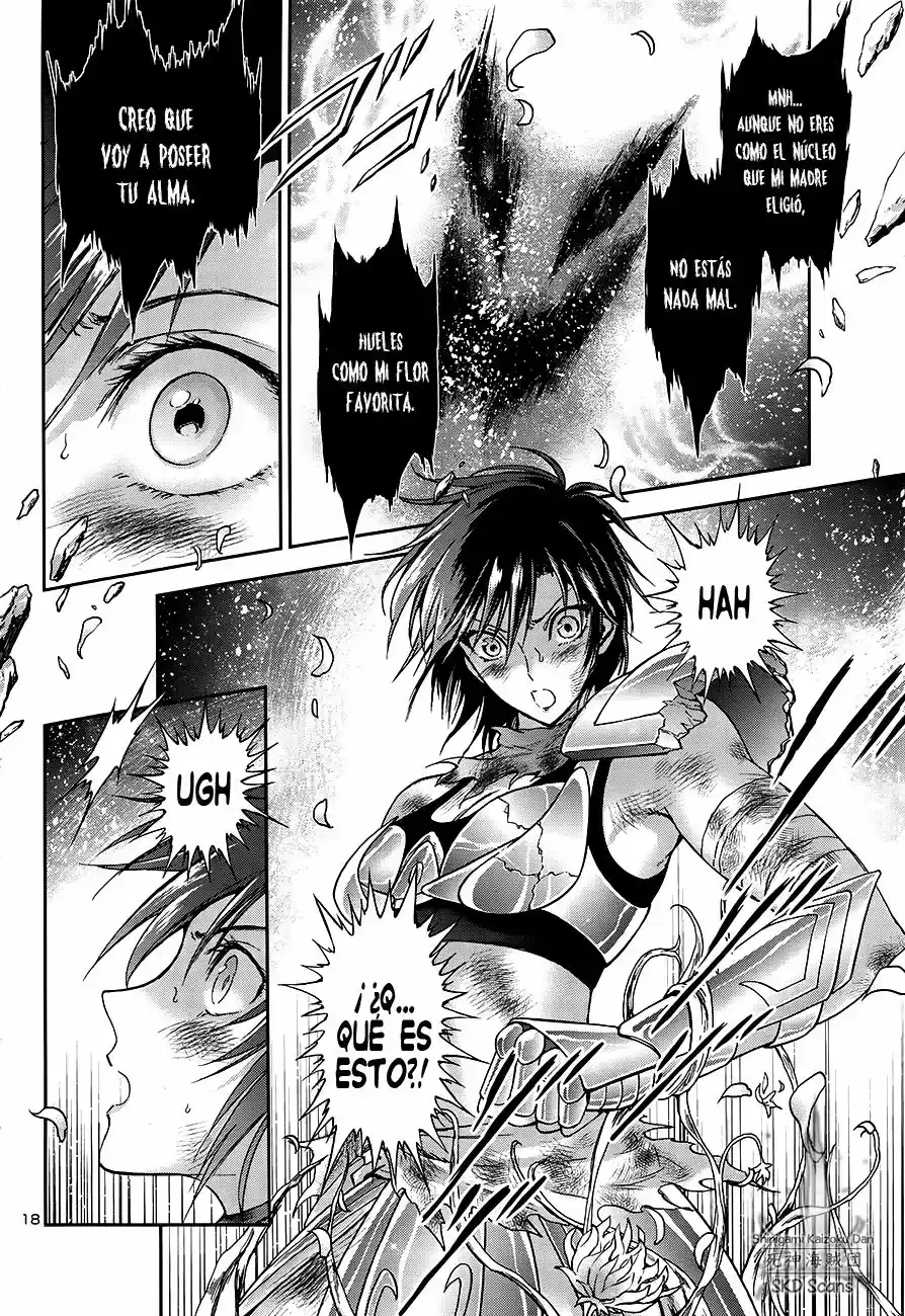 Saint Seiya Saintia Sho (2013) - Capítulo 51 - Página 15 - LectorTMOo