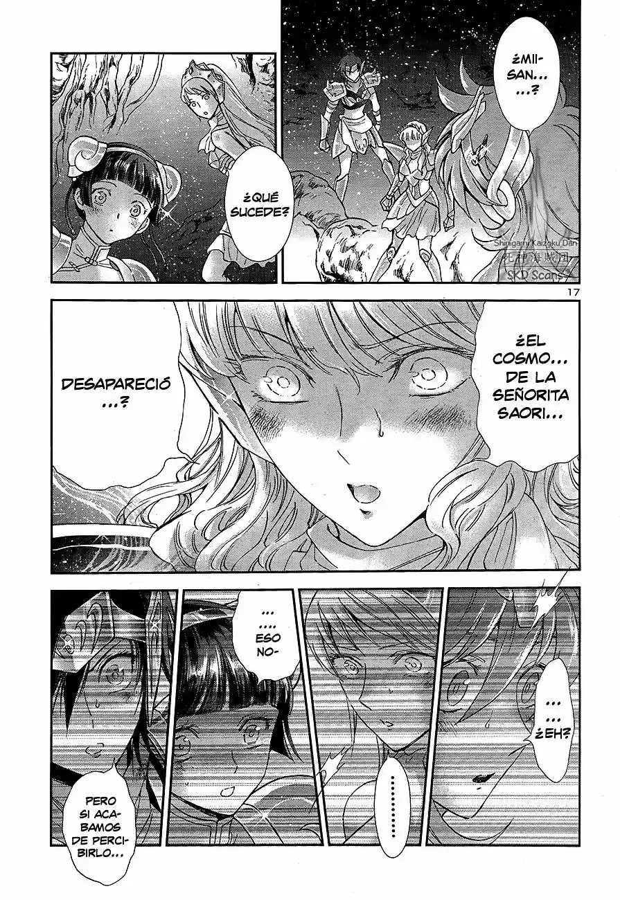 Saint Seiya Saintia Sho (2013) - Capítulo 54 - Página 17 - LectorTMOo