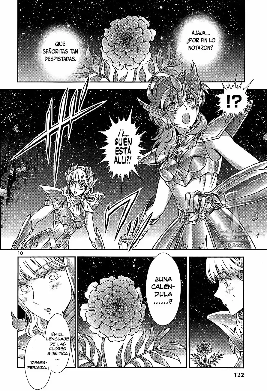 Saint Seiya Saintia Sho (2013) - Capítulo 54 - Página 18 - LectorTMOo