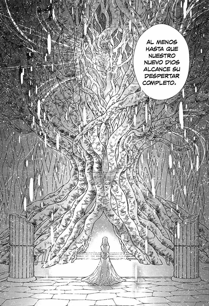 Saint Seiya Saintia Sho (2013) - Capítulo 59 - Página 21 - LectorTMOo