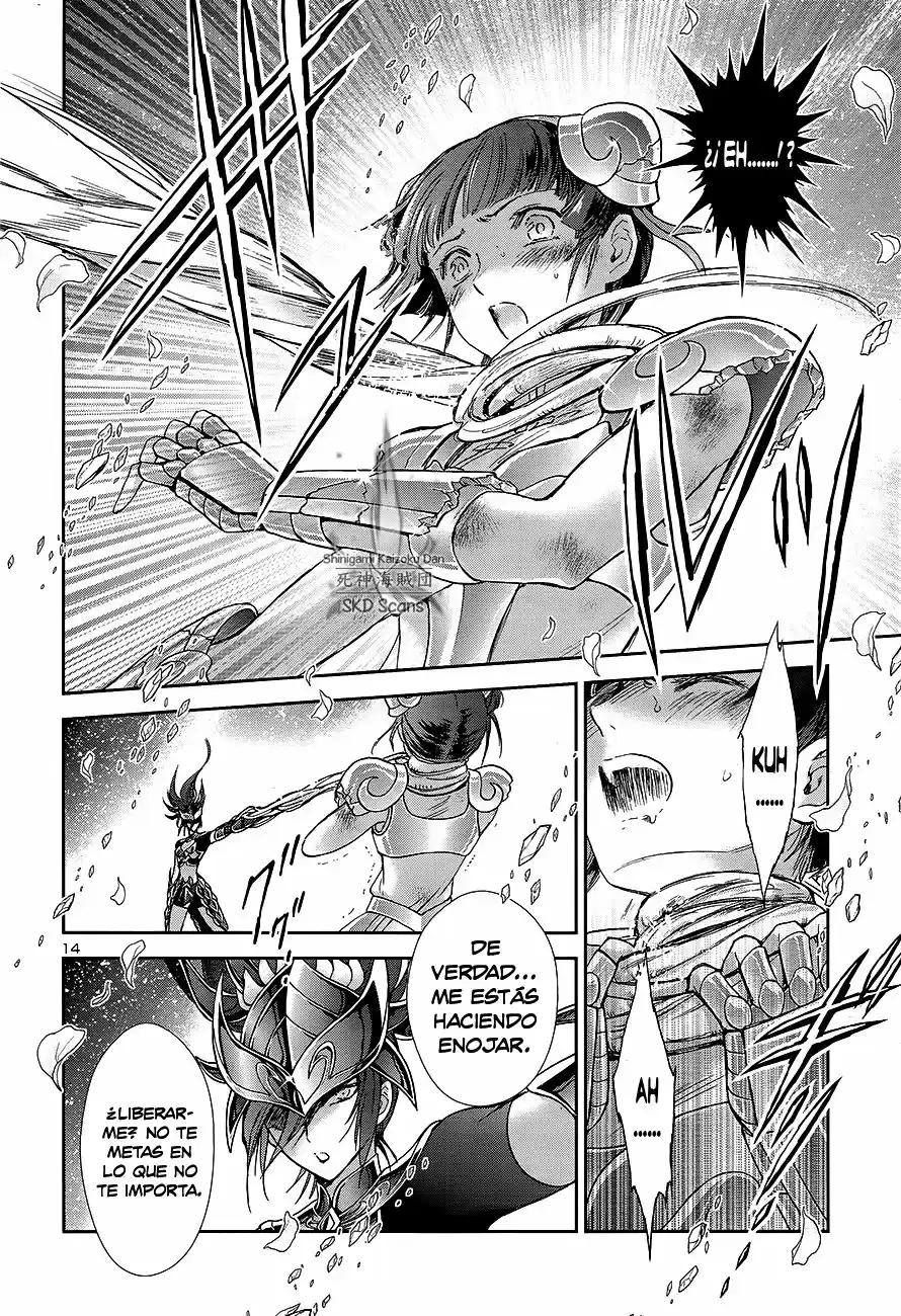 Saint Seiya Saintia Sho (2013) - Capítulo 61 - Página 14 - LectorTMOo