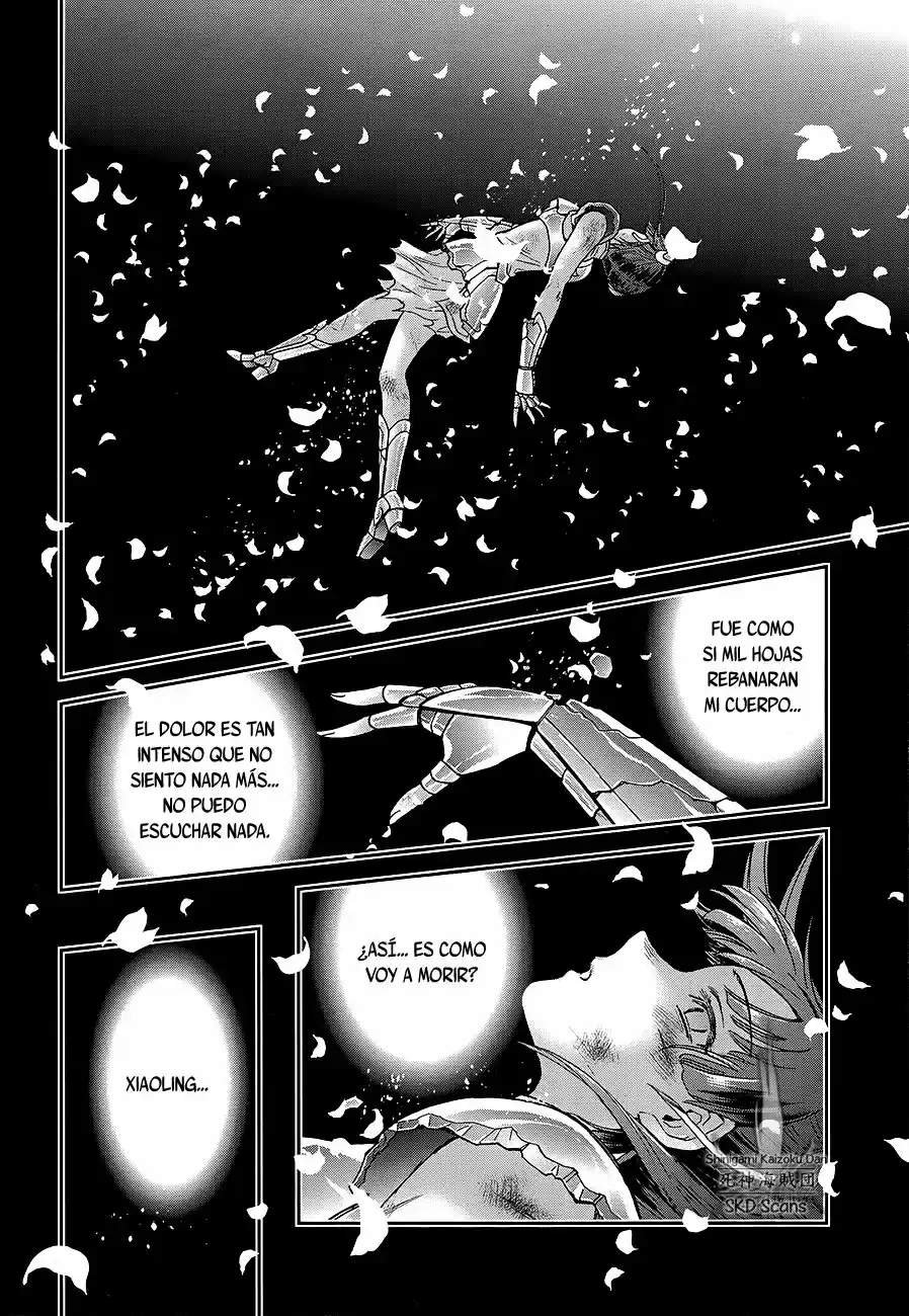 Saint Seiya Saintia Sho (2013) - Capítulo 62 - Página 15 - LectorTMOo