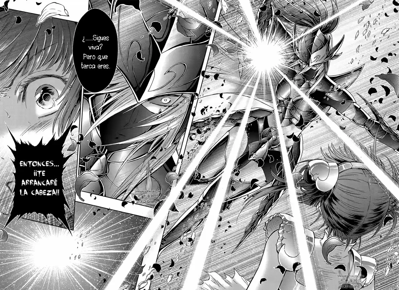 Saint Seiya Saintia Sho (2013) - Capítulo 62 - Página 17 - LectorTMOo