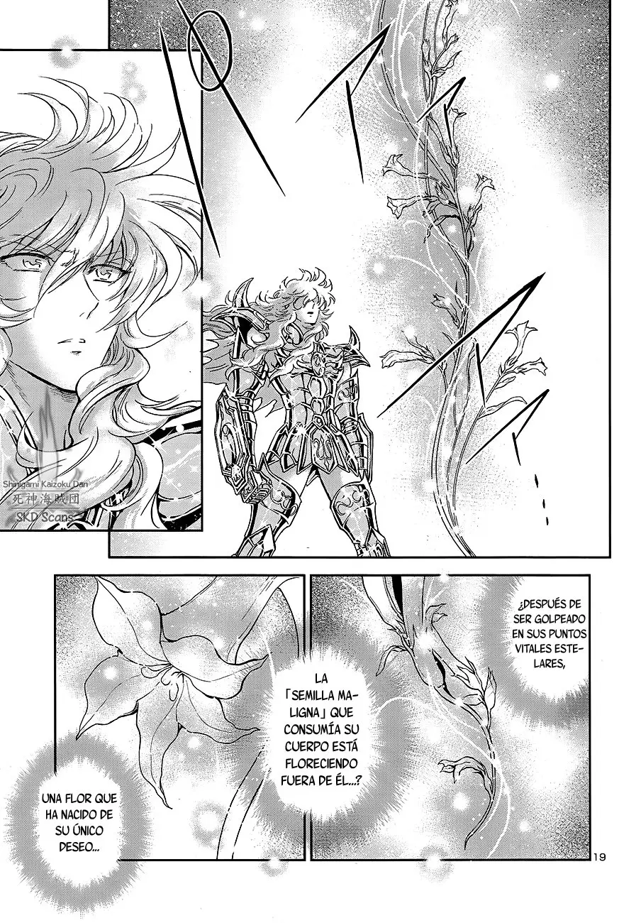 Saint Seiya Saintia Sho (2013) - Capítulo 64 - Página 20 - LectorTMOo