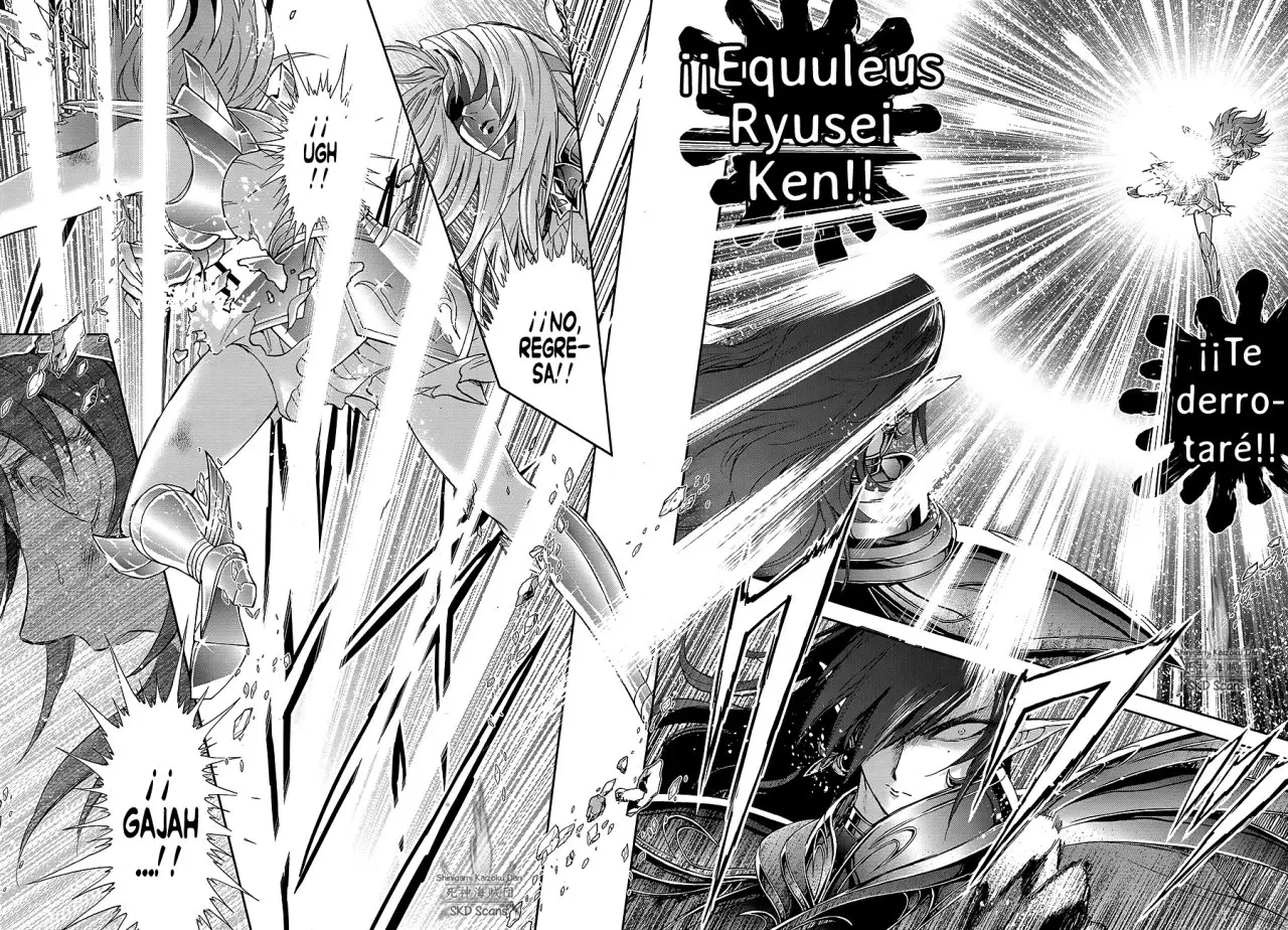 Saint Seiya Saintia Sho (2013) - Capítulo 65 - Página 14 - LectorTMOo