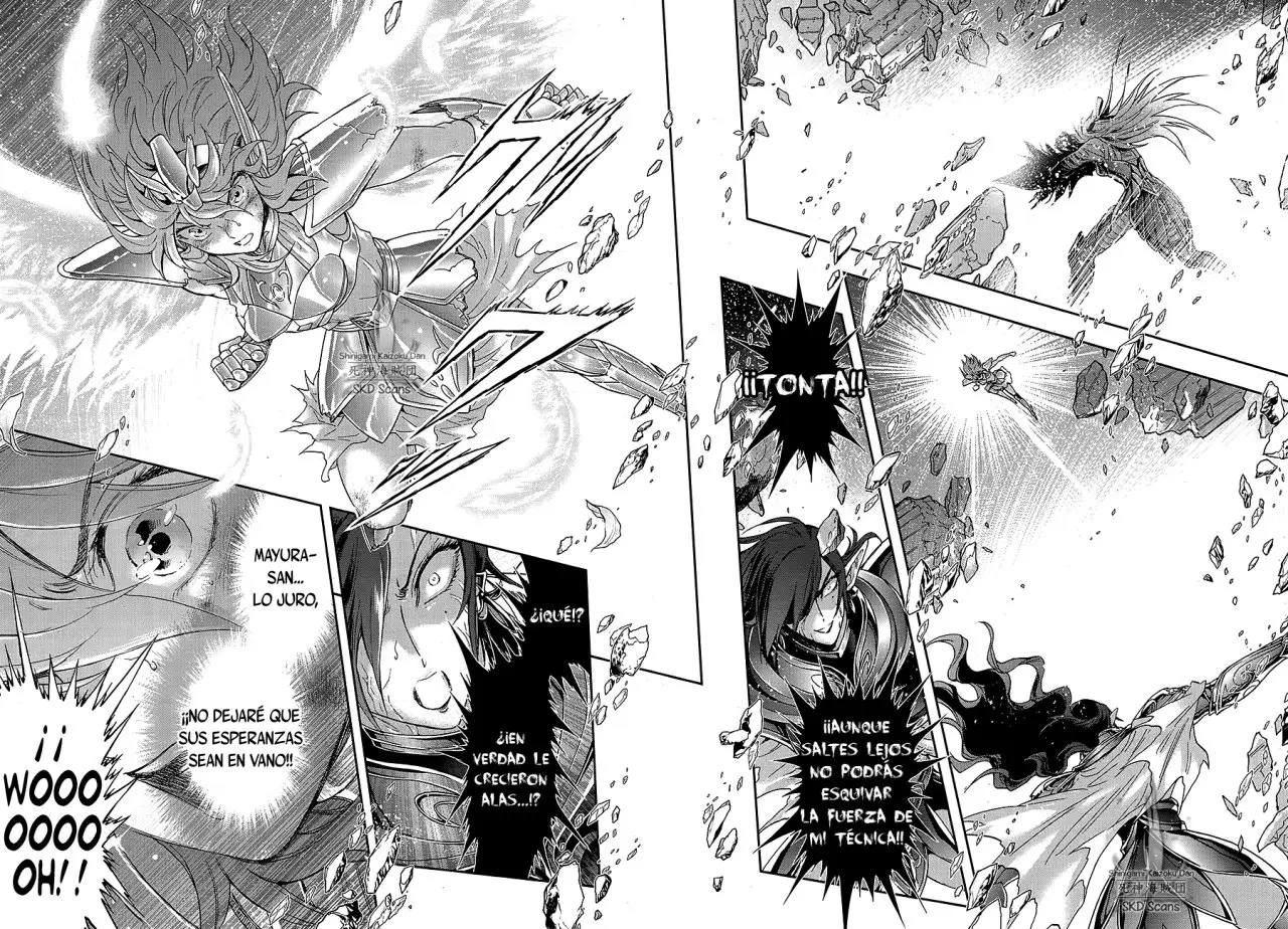 Saint Seiya Saintia Sho (2013) - Capítulo 66 - Página 17 - LectorTMOo