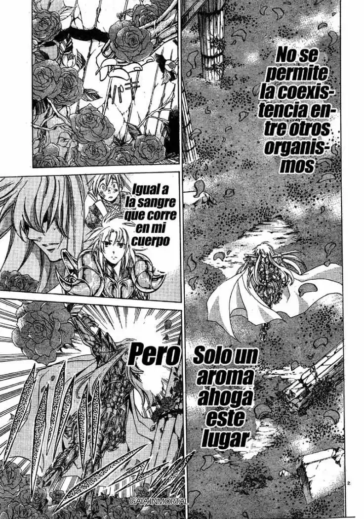 Saint Seiya The Lost Canvas: Gaiden (2016) - Capítulo 1 - Página 26 - LectorTMOo