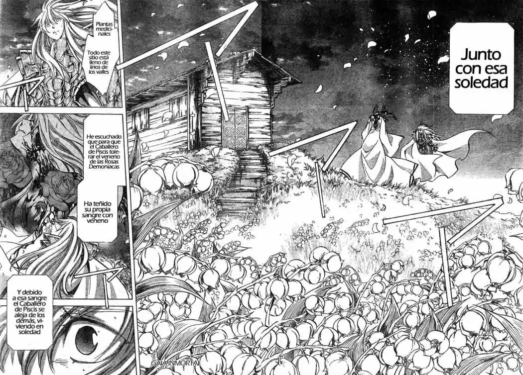 Saint Seiya The Lost Canvas: Gaiden (2016) - Capítulo 3 - Página 16 - LectorTMOo
