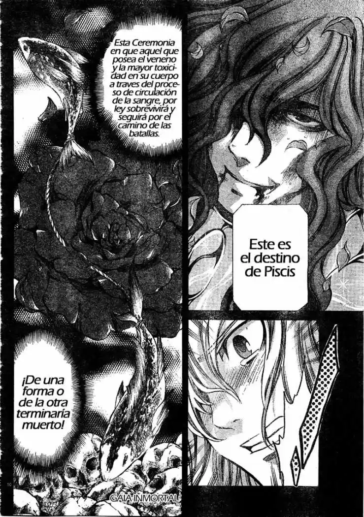 Saint Seiya The Lost Canvas: Gaiden (2016) - Capítulo 5 - Página 9 - LectorTMOo