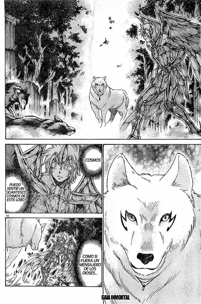 Saint Seiya The Lost Canvas: Gaiden (2016) - Capítulo 64 - Página 13 - LectorTMOo