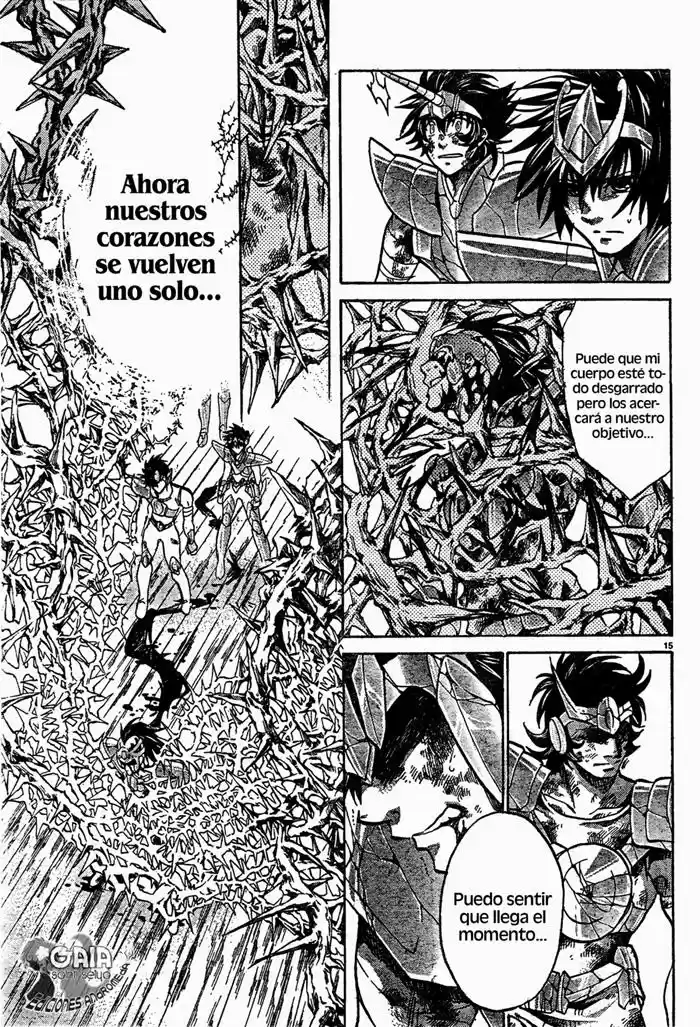 Saint Seiya The Lost Canvas (2016) - Capítulo 124 - Página 14 - LectorTMOo