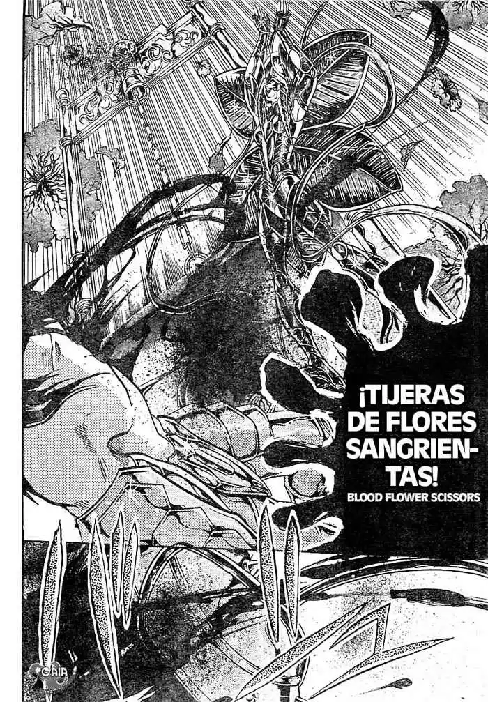 Saint Seiya The Lost Canvas (2016) - Capítulo 148 - Página 8 - LectorTMOo