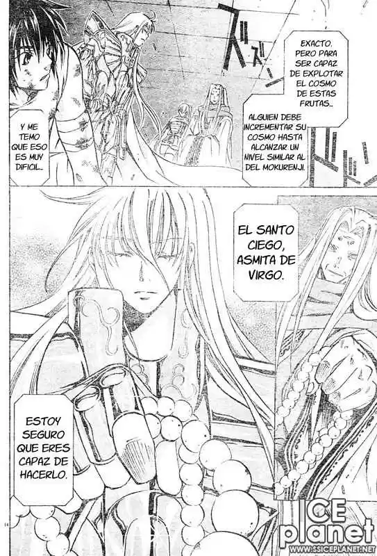 Saint Seiya The Lost Canvas (2016) - Capítulo 32 - Página 14 - LectorTMOo