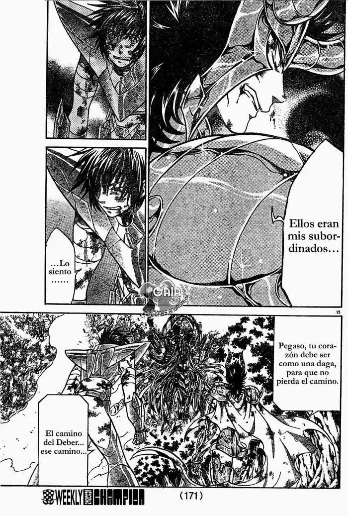 Saint Seiya The Lost Canvas (2016) - Capítulo 82 - Página 14 - LectorTMOo