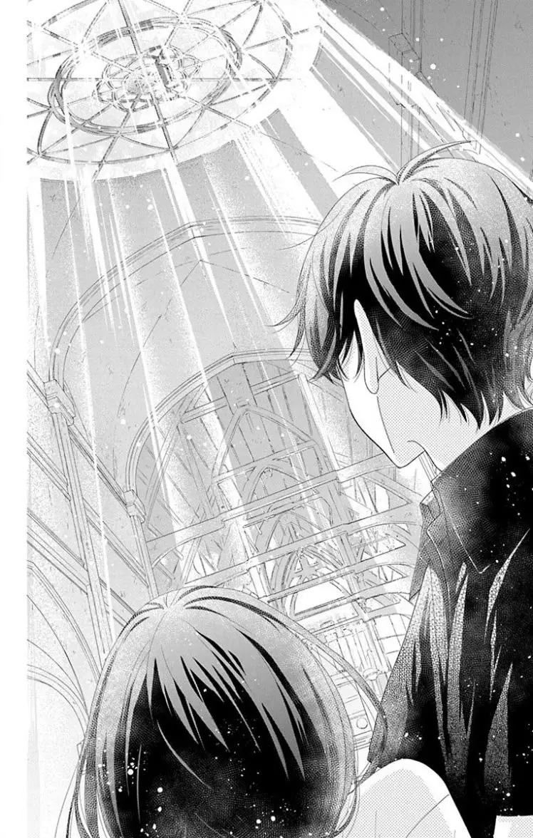 Saiouji Kyoudai ni Komarasareru no mo Warukunai (2016) - Capítulo 24 - Página 29 - LectorTMOo