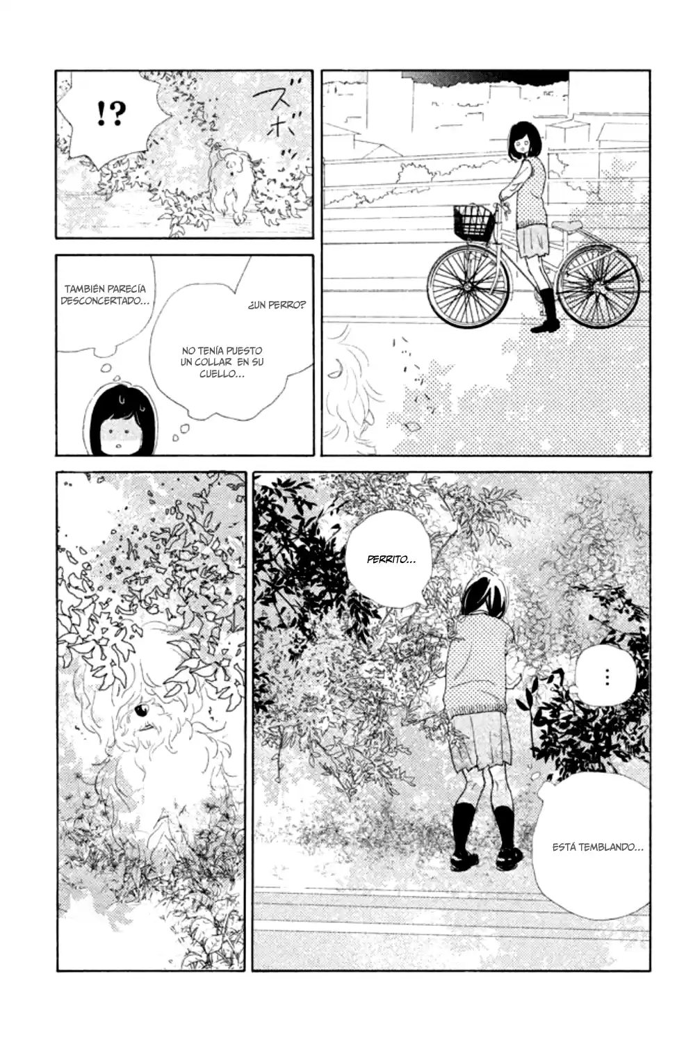 Sakura to Sensei (2017) - Capítulo 4 - Página 21 - LectorTMOo