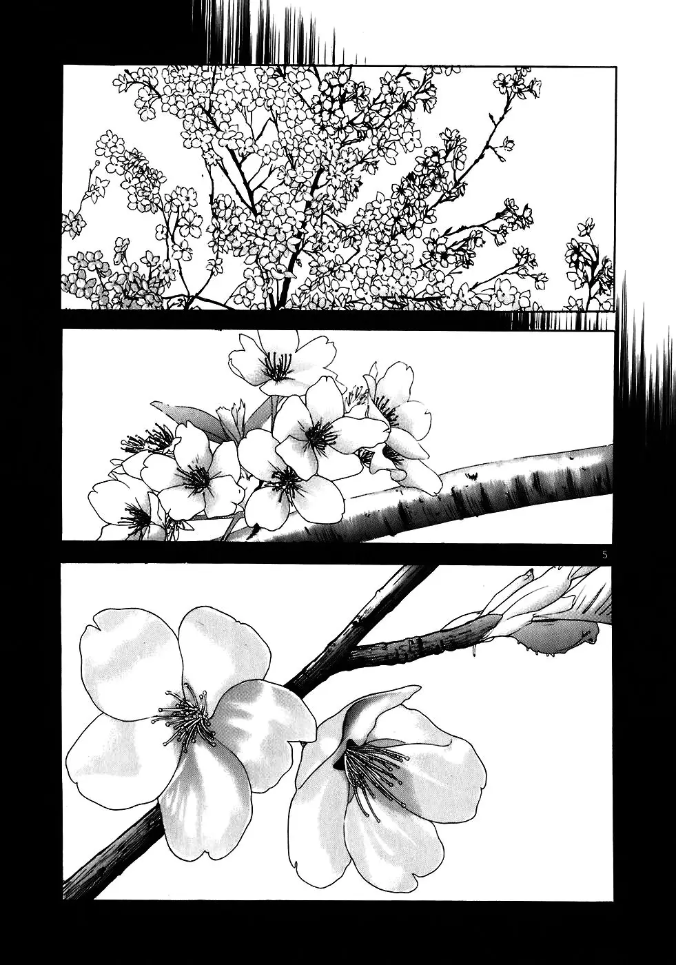 Sakura Tsuushin (2016) - Capítulo 219 - Página 6 - LectorTMOo
