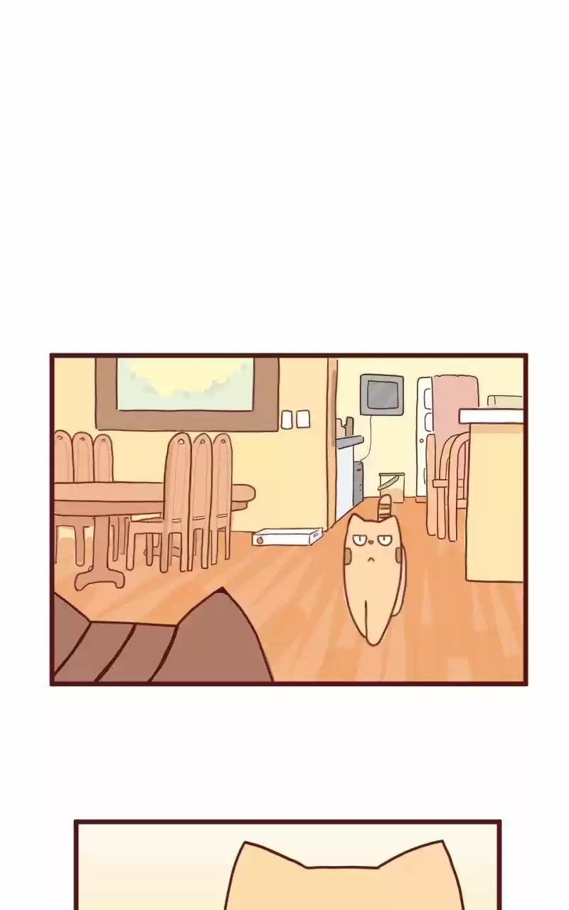 Saphie: The One-Eyed Cat (2016) - Capítulo 10 - Página 4 - LectorTMOo