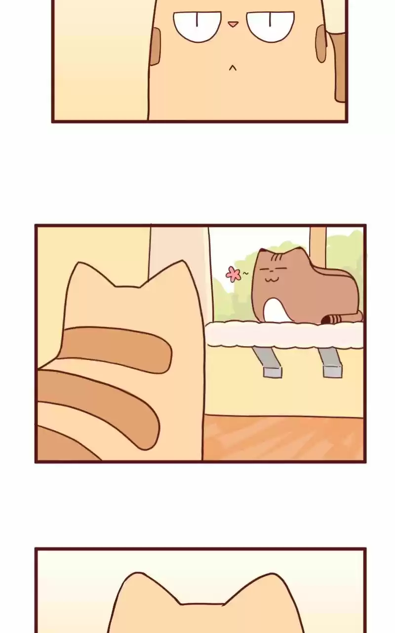 Saphie: The One-Eyed Cat (2016) - Capítulo 10 - Página 5 - LectorTMOo