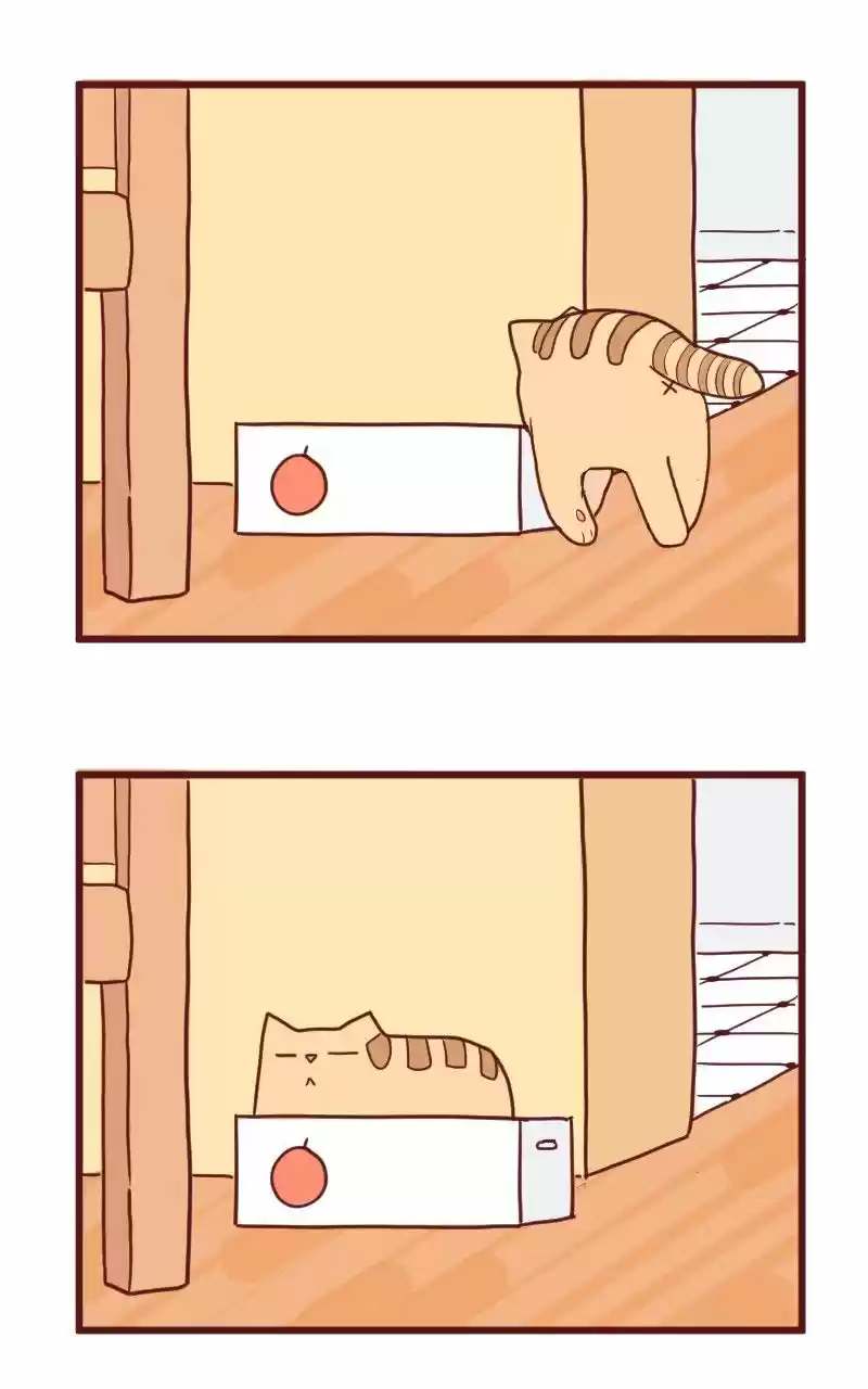 Saphie: The One-Eyed Cat (2016) - Capítulo 10 - Página 7 - LectorTMOo