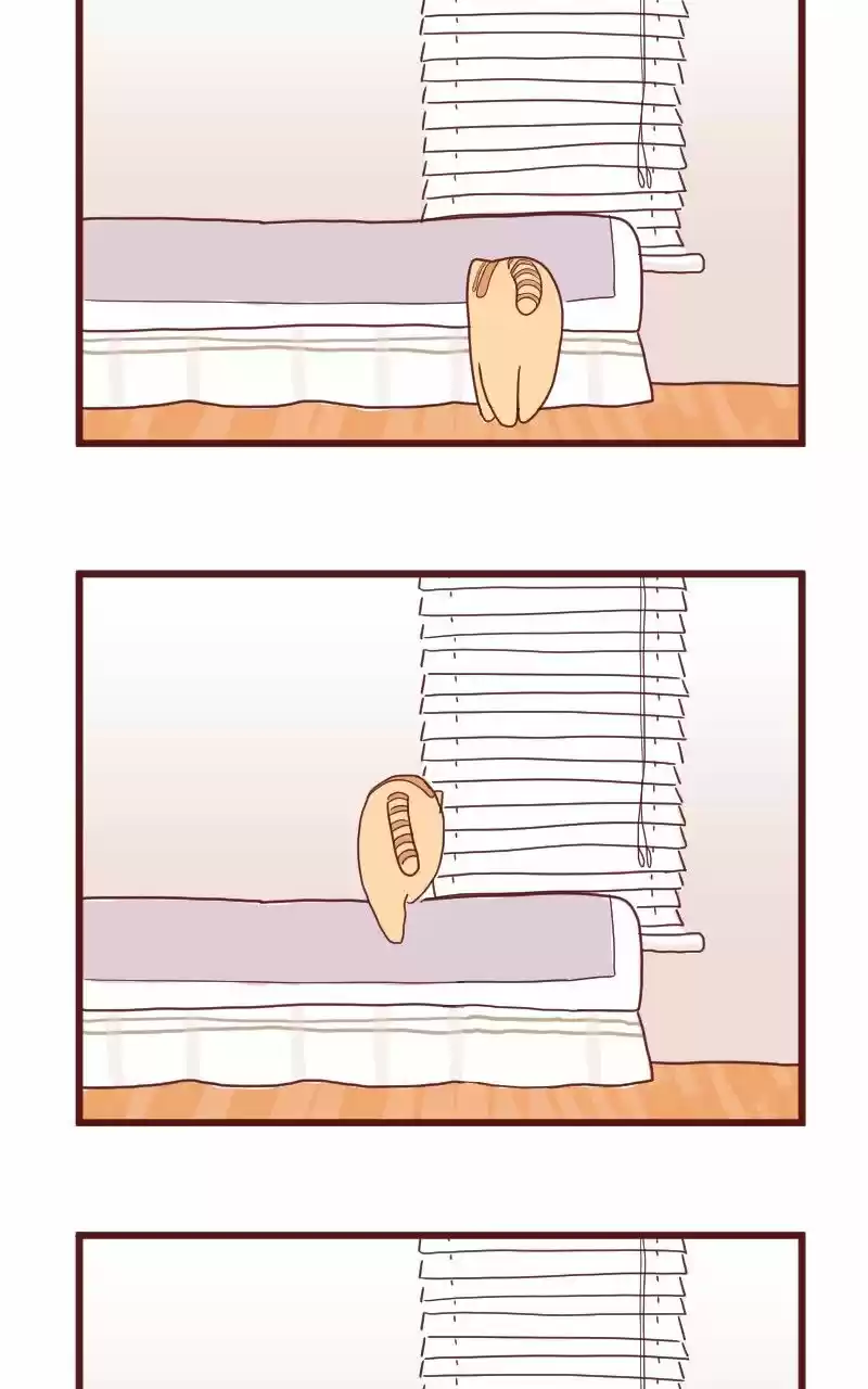 Saphie: The One-Eyed Cat (2016) - Capítulo 10 - Página 13 - LectorTMOo