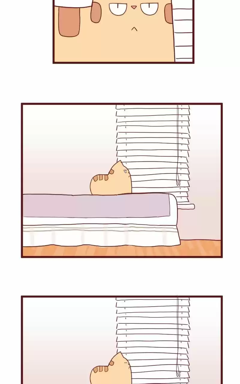 Saphie: The One-Eyed Cat (2016) - Capítulo 10 - Página 15 - LectorTMOo