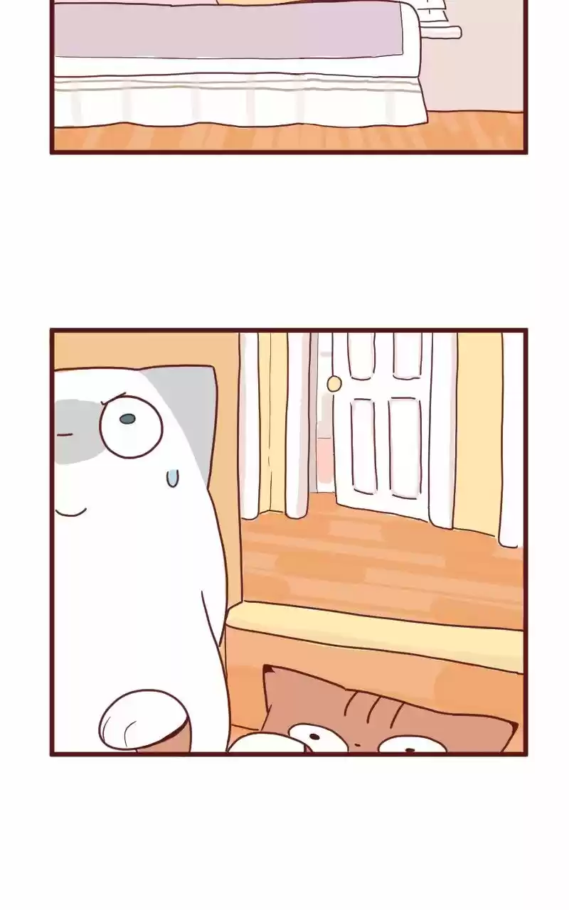 Saphie: The One-Eyed Cat (2016) - Capítulo 10 - Página 16 - LectorTMOo