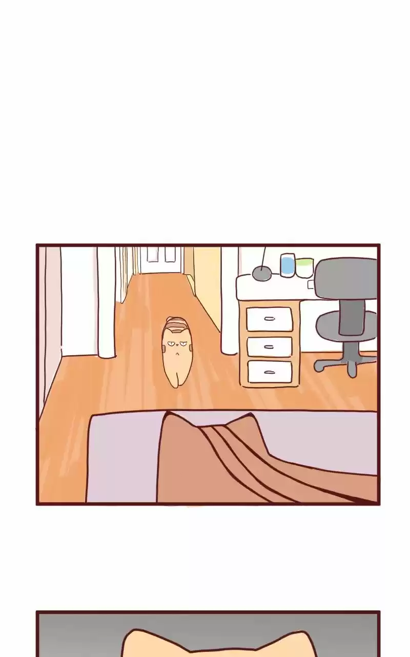 Saphie: The One-Eyed Cat (2016) - Capítulo 10 - Página 17 - LectorTMOo