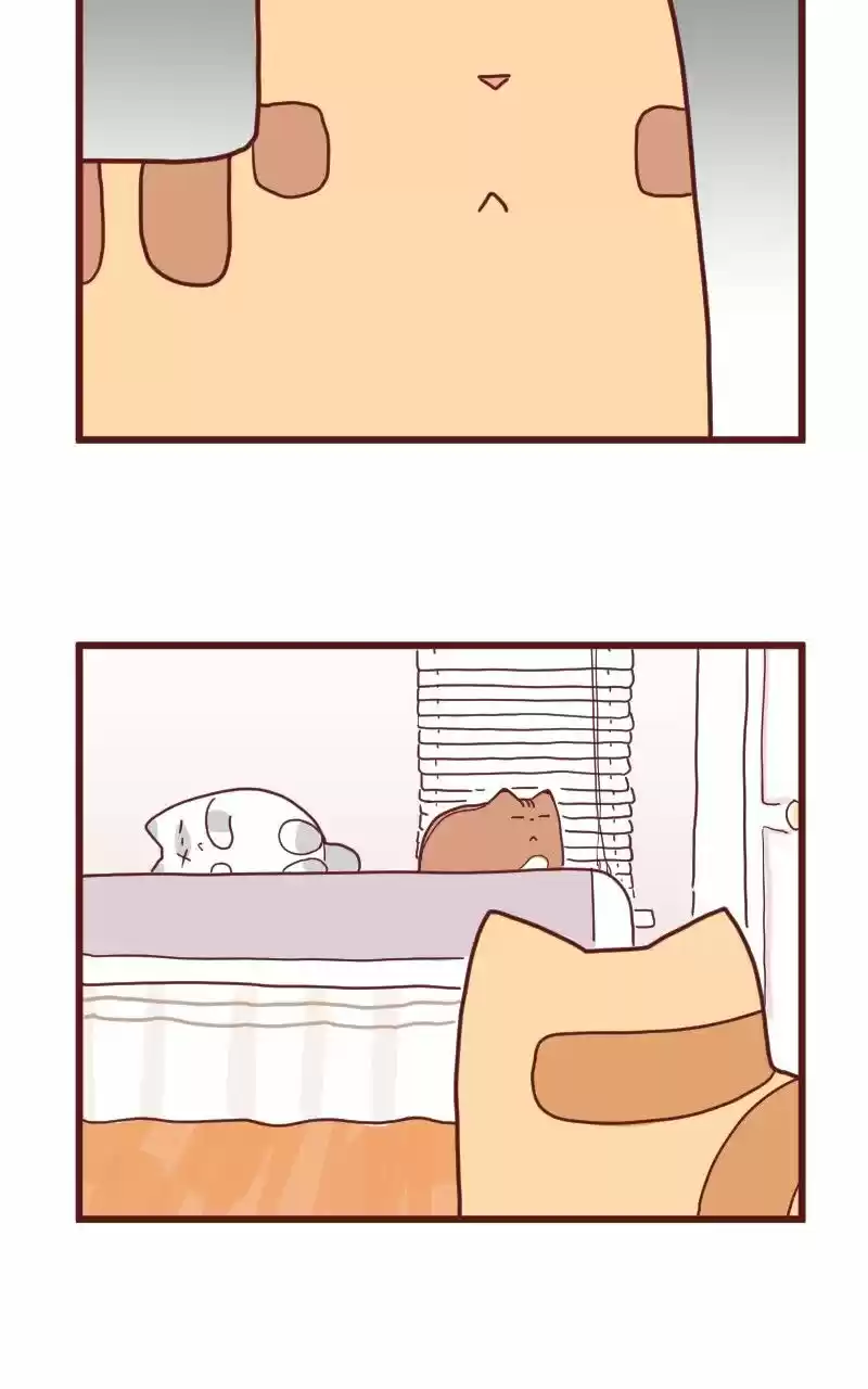 Saphie: The One-Eyed Cat (2016) - Capítulo 10 - Página 18 - LectorTMOo