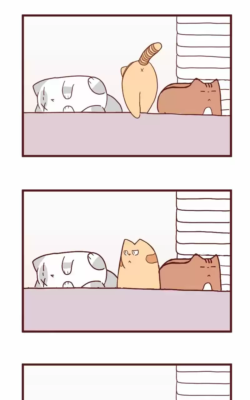 Saphie: The One-Eyed Cat (2016) - Capítulo 10 - Página 20 - LectorTMOo