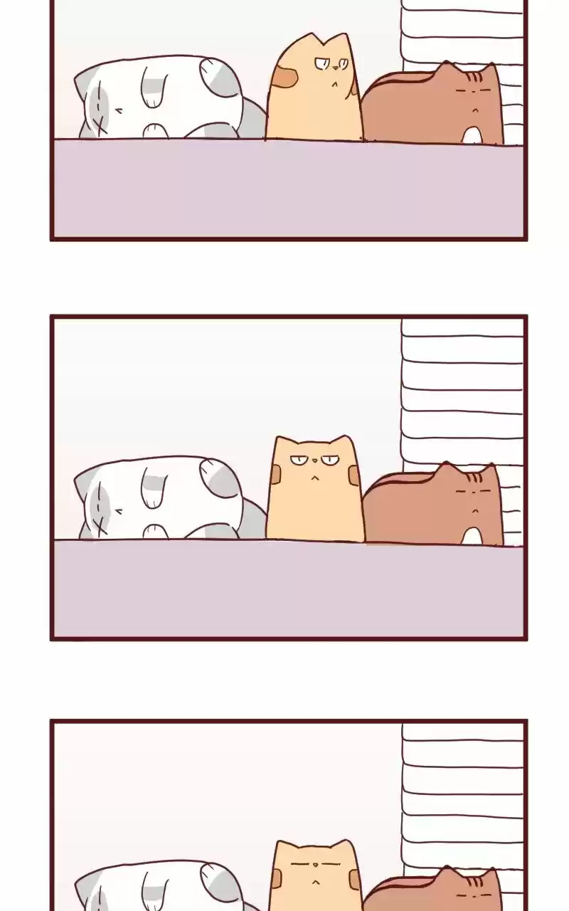 Saphie: The One-Eyed Cat (2016) - Capítulo 10 - Página 21 - LectorTMOo