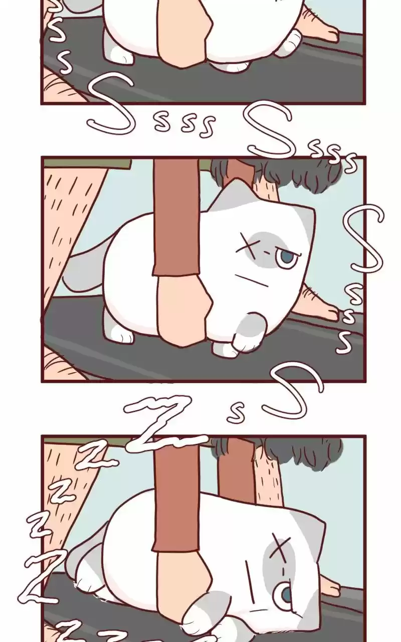 Saphie: The One-Eyed Cat (2016) - Capítulo 12 - Página 9 - LectorTMOo