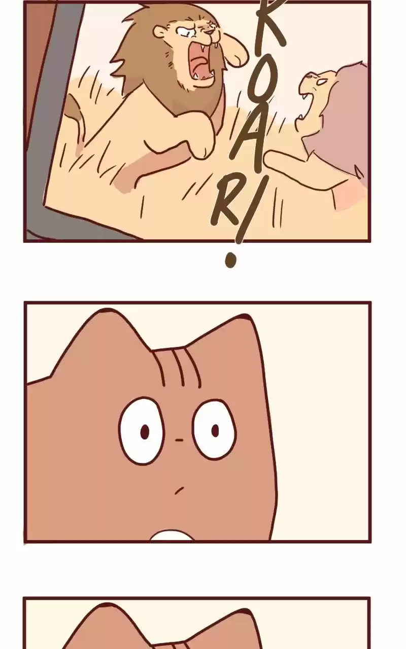 Saphie: The One-Eyed Cat (2016) - Capítulo 14 - Página 9 - LectorTMOo