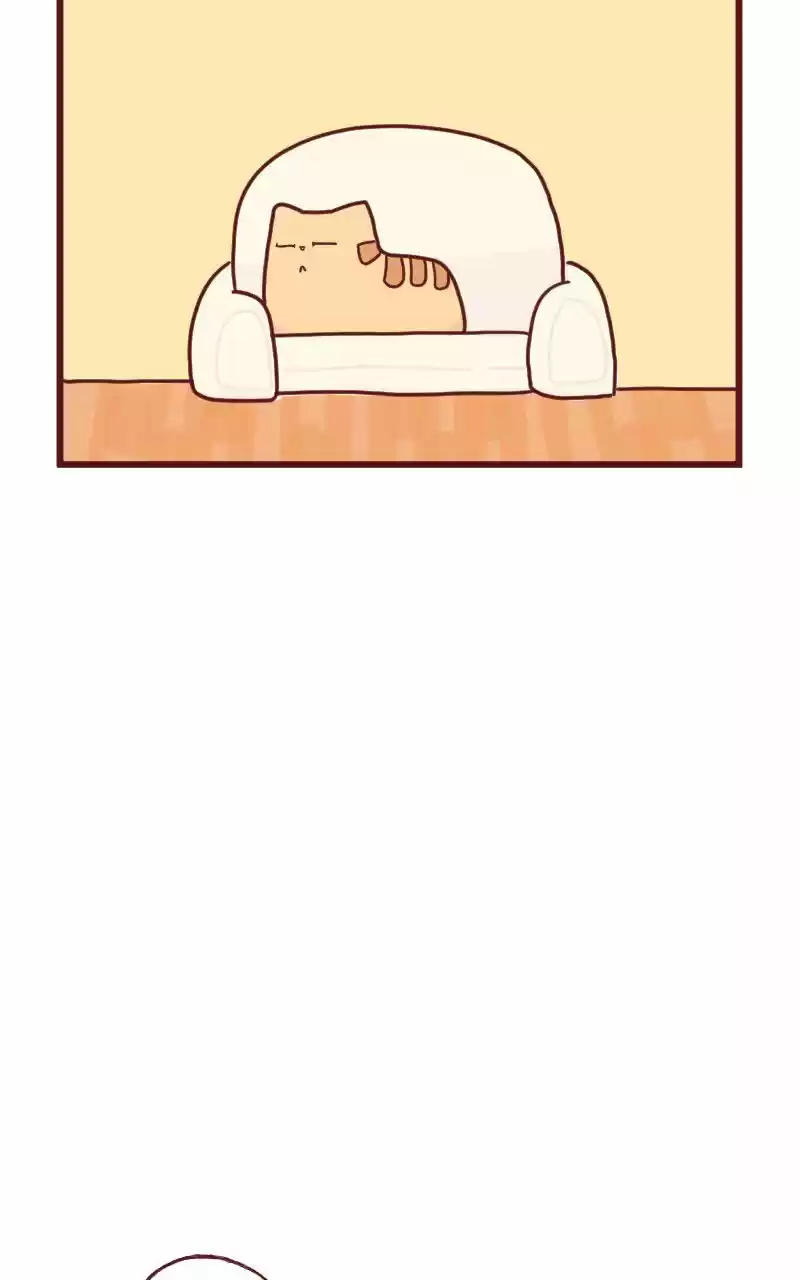 Saphie: The One-Eyed Cat (2016) - Capítulo 15 - Página 9 - LectorTMOo