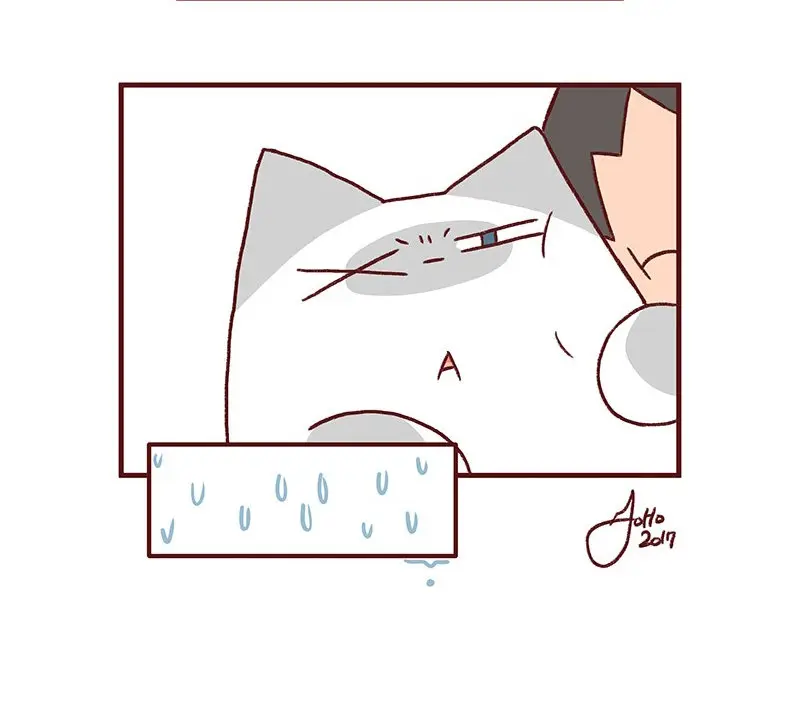 Saphie: The One-Eyed Cat (2016) - Capítulo 151 - Página 4 - LectorTMOo
