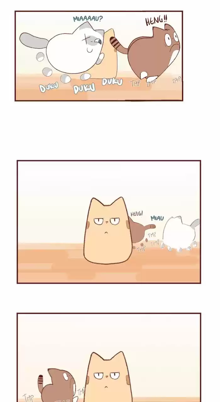 Saphie: The One-Eyed Cat (2016) - Capítulo 2 - Página 4 - LectorTMOo